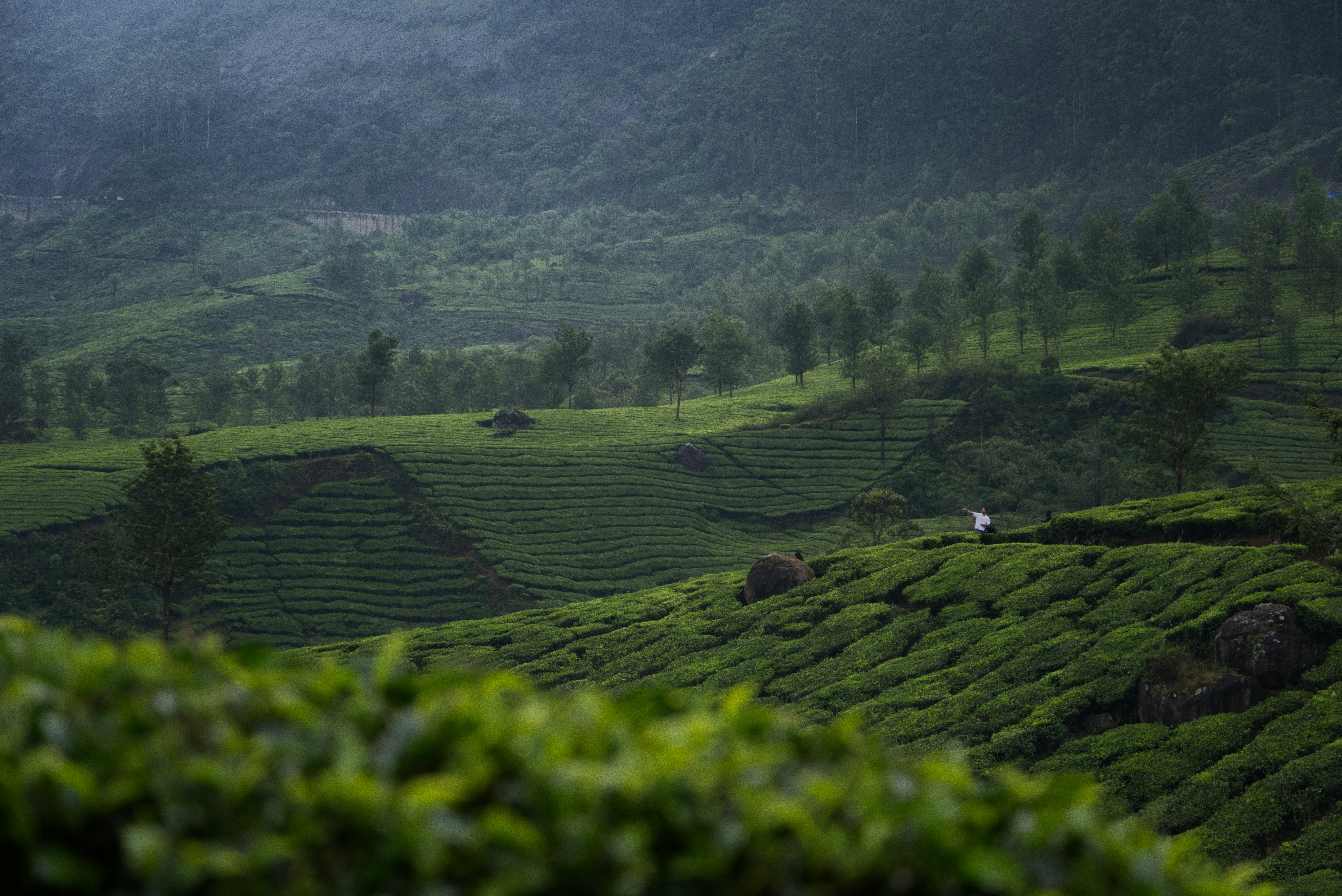 Munnar Hill Station tour package