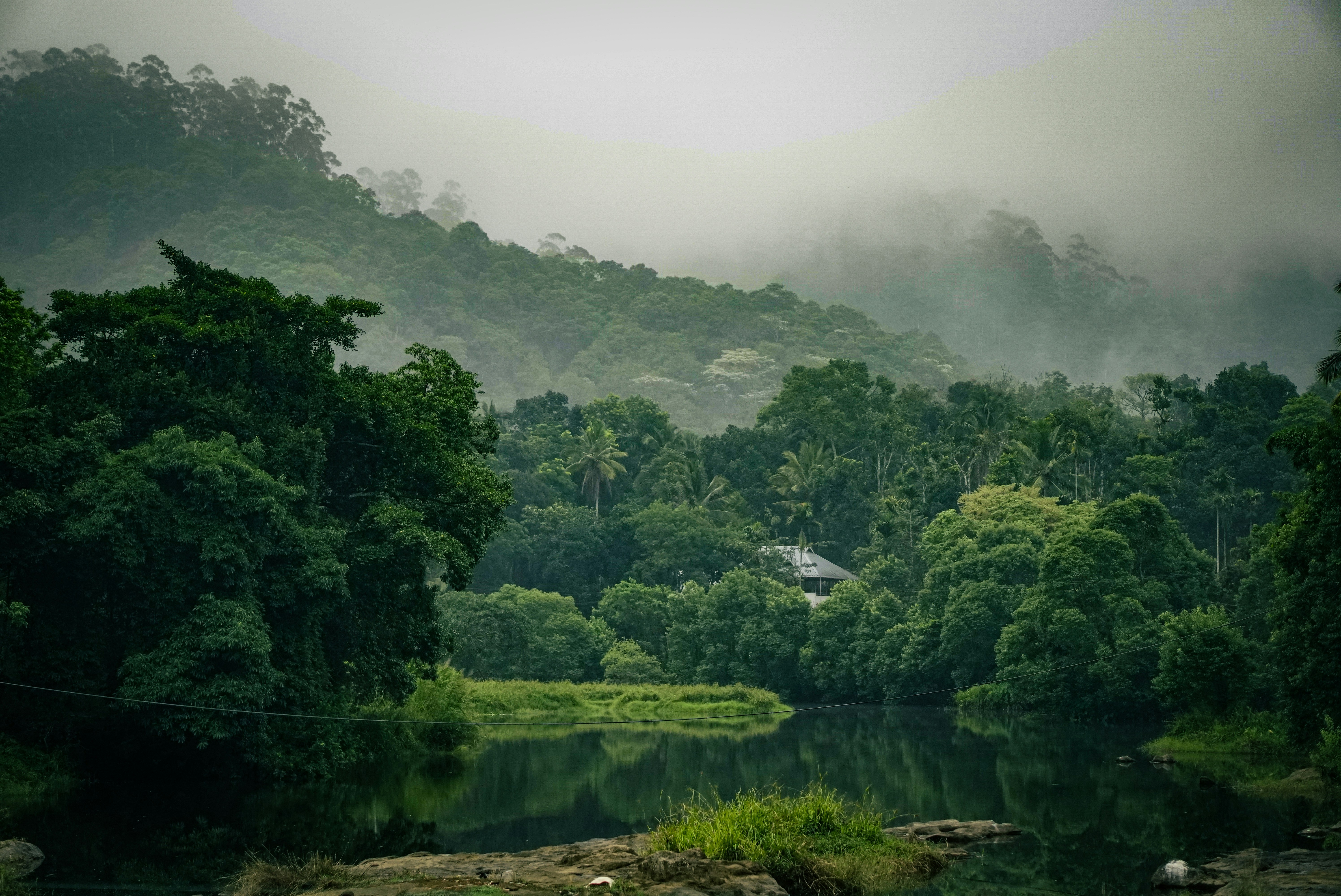 Thekkady Wildlife & Spice Tour tour package